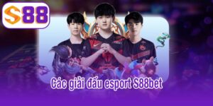 Các giải đấu esport