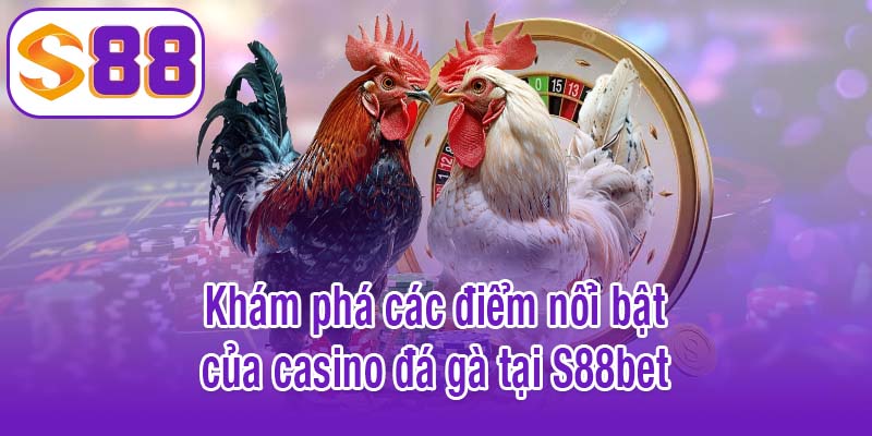 Khám phá các điểm nổi bật của casino đá gà tại S88bet