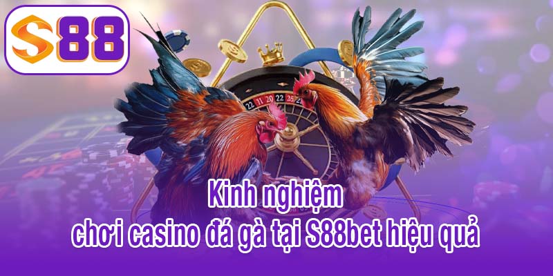 Kinh nghiệm chơi casino đá gà tại S88bet hiệu quả