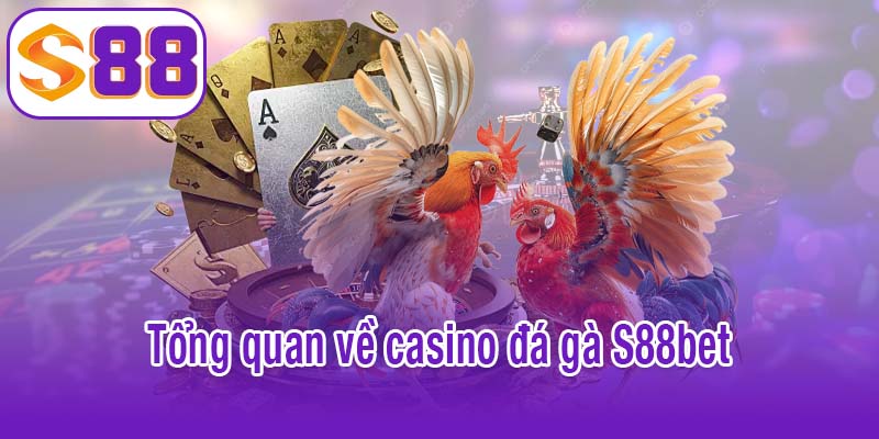 Tổng quan về casino đá gà S88bet