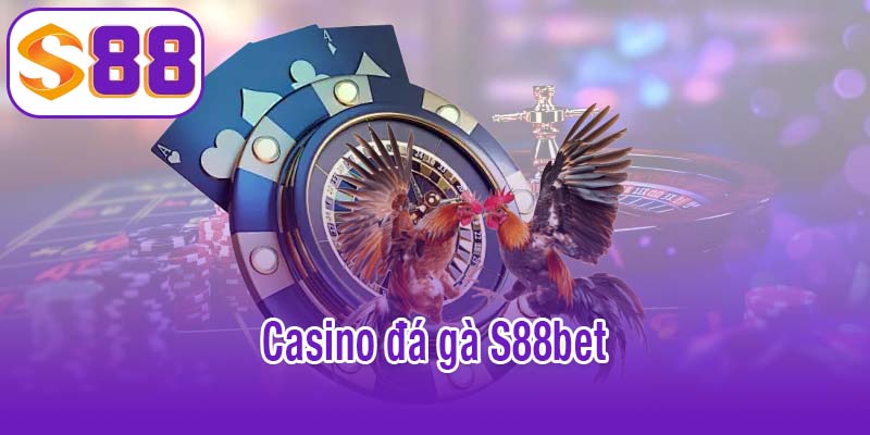 Casino đá gà