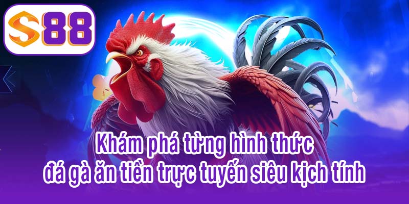 Khám phá từng hình thức đá gà ăn tiền trực tuyến siêu kịch tính