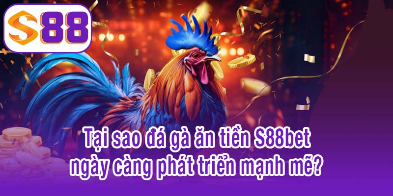 Tại sao đá gà ăn tiền trực tuyến ngày càng phát triển mạnh mẽ?