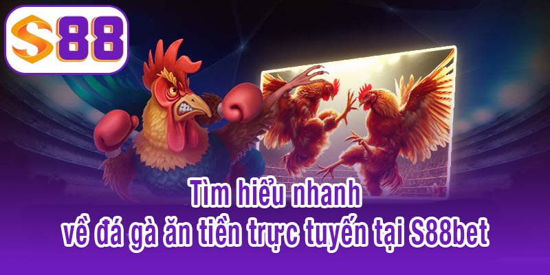 Tìm hiểu nhanh về đá gà ăn tiền trực tuyến tại S88bet