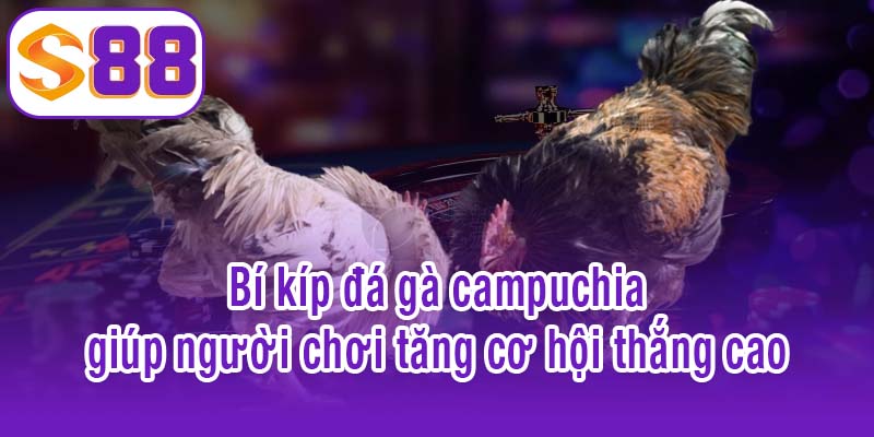 Bí kíp đá gà campuchia giúp người chơi tăng cơ hội thắng cao