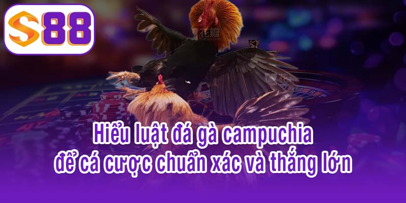 Hiểu luật đá gà campuchia để cá cược chuẩn xác và thắng lớn