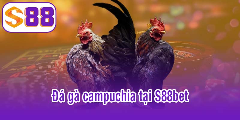 đá gà campuchia