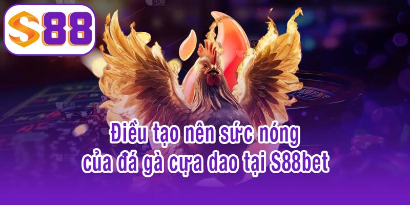 Điều gì tạo nên sức nóng của đá gà cựa dao tại S88bet?