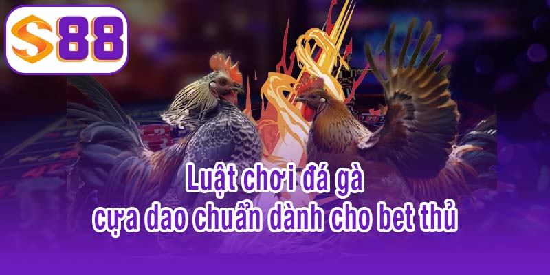 Luật chơi đá gà cựa dao chuẩn dành cho bet thủ