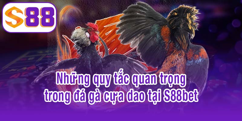 Những quy tắc quan trọng trong đá gà cựa dao tại S88bet