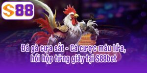 Đá gà cựa sắt