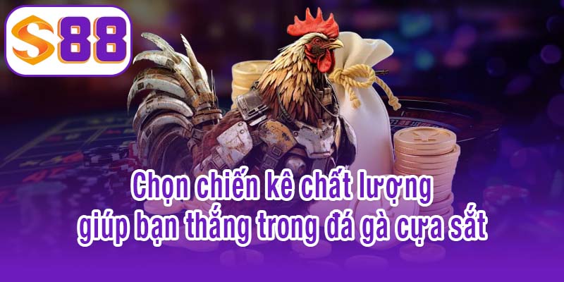 Chọn chiến kê chất lượng giúp bạn thắng trong đá gà cựa sắt