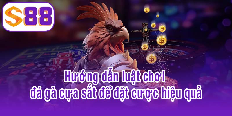 Hướng dẫn luật chơi đá gà cựa sắt để đặt cược hiệu quả