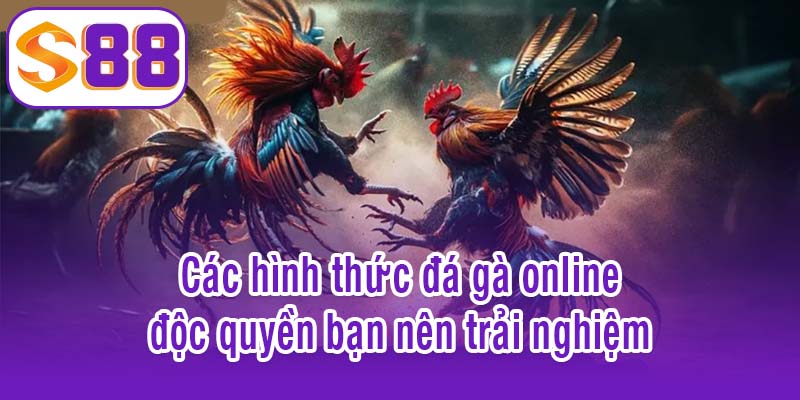 Các hình thức đá gà online độc quyền bạn nên trải nghiệm