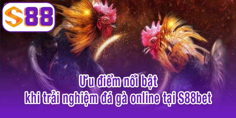 Ưu điểm nổi bật khi trải nghiệm đá gà online tại S88bet