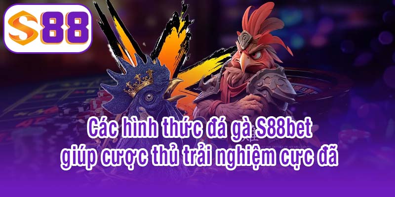 Top hình thức đá gà S88bet giúp cược thủ trải nghiệm cực đã