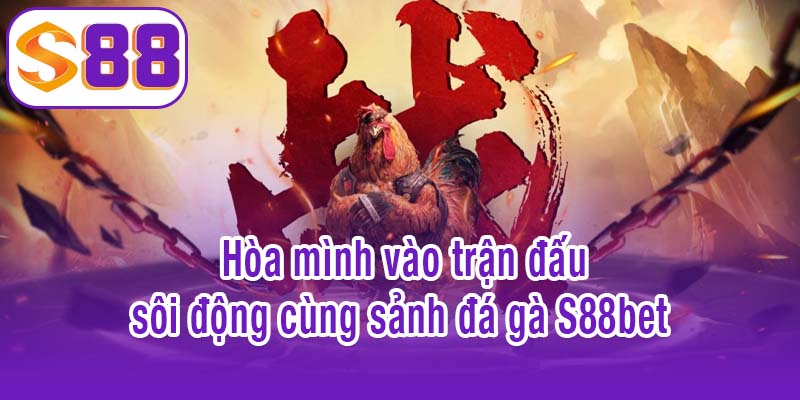 Hòa mình vào trận đấu sôi động cùng sảnh đá gà S88bet 
