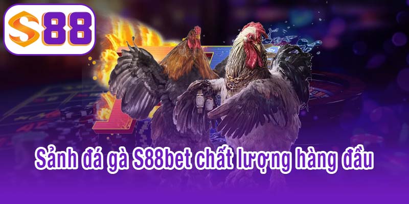 Khám phá sảnh đá gà S88bet chất lượng hàng đầu