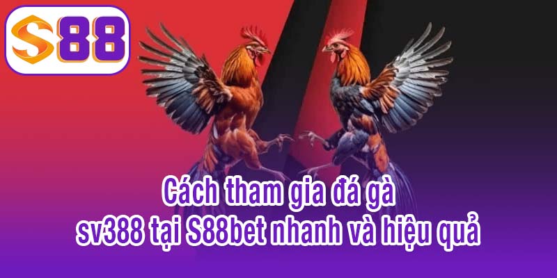 Cách tham gia đá gà sv388 tại S88bet nhanh và hiệu quả