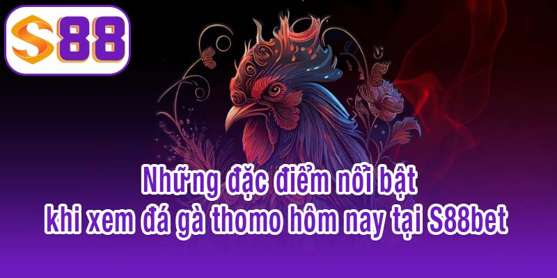 Những đặc điểm nổi bật khi xem đá gà thomo hôm nay tại S88bet 