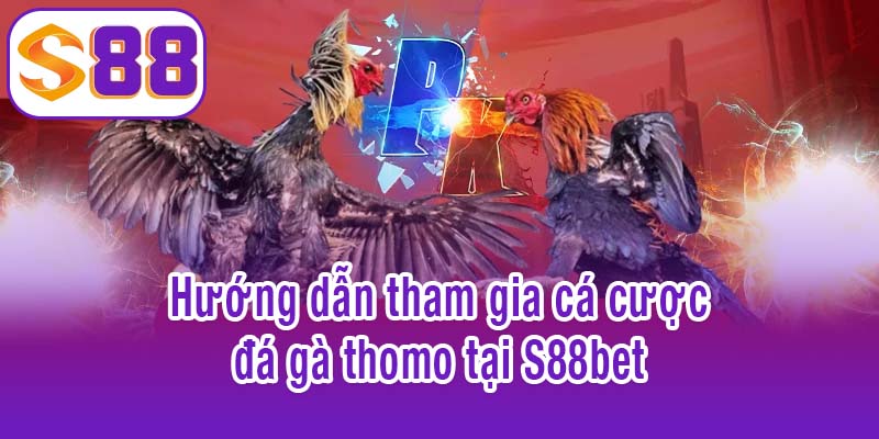 Hướng dẫn tham gia cá cược đá gà thomo tại S88bet