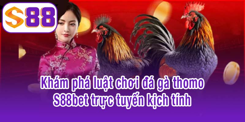 Khám phá luật chơi đá gà thomo S88bet trực tuyến kịch tính