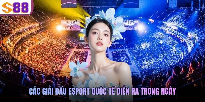 Các giải đấu Esport quốc tế diễn ra trong ngày