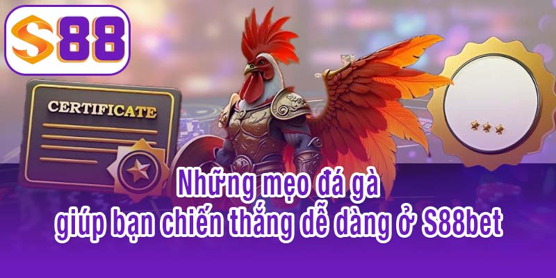 Những mẹo đá gà giúp bạn chiến thắng dễ dàng ở S88bet