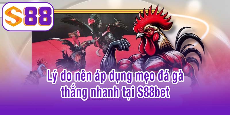Vì sao nên áp dụng mẹo đá gà thắng nhanh tại S88bet?