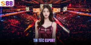 tin tức Esport