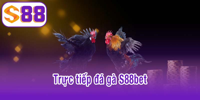 Trực tiếp đá gà